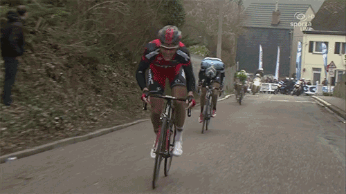 tumblr_ml4celUYoD1qfcvrto1_500