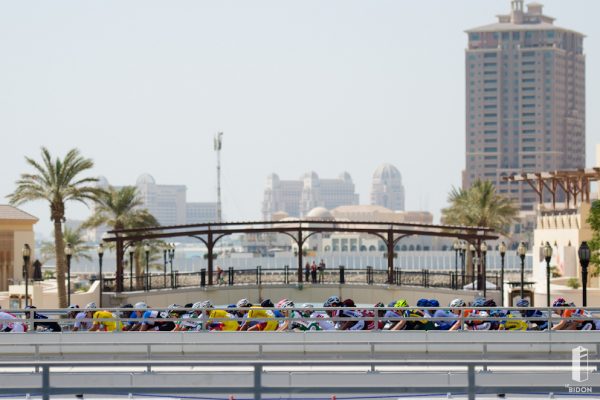 DSC_4559