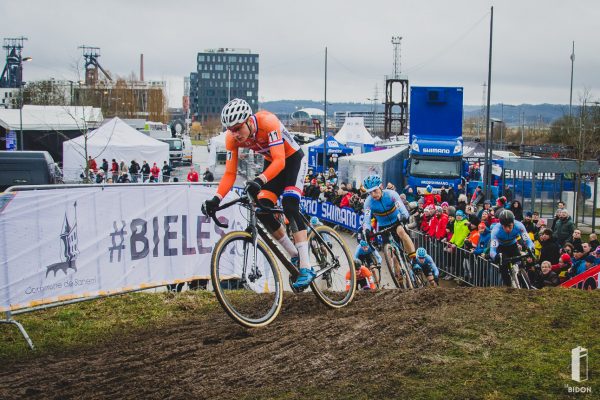 Bieles 2017
